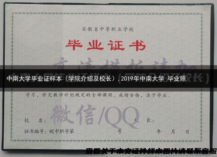 中南大学毕业证样本（学院介绍及校长）,2019年中南大学 毕业照