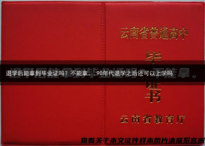 退学后能拿到毕业证吗？不能拿。,90年代退学之后还可以上学吗