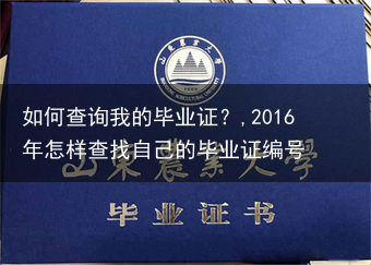 如何查询我的毕业证？,2016年怎样查找自己的毕业证编号
